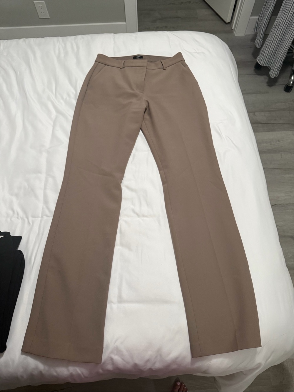 Express Taupe Editor Boot Cut Dress Pants